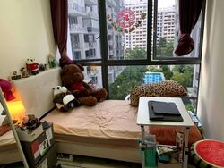 La Fiesta (D19), Condominium #544388741